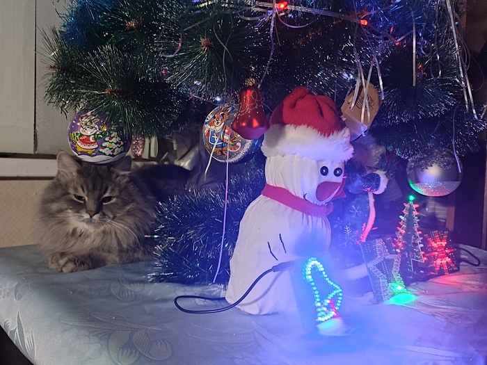 ����� �� ���� ������� ���� �����. ��� ����������