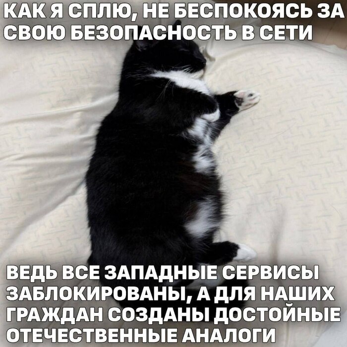 ��������????