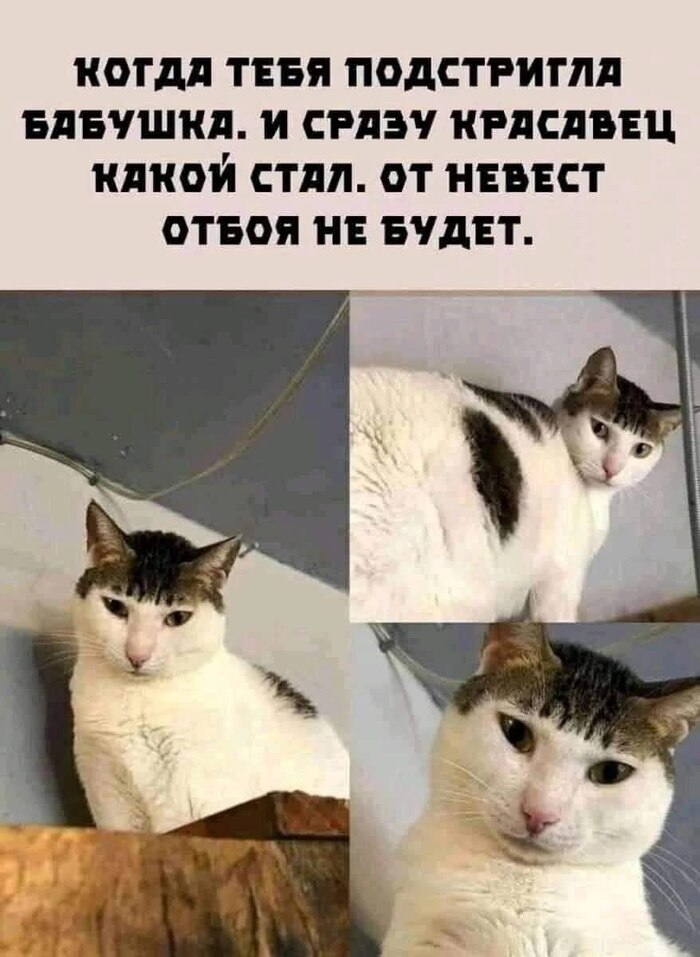 ����� � ��������