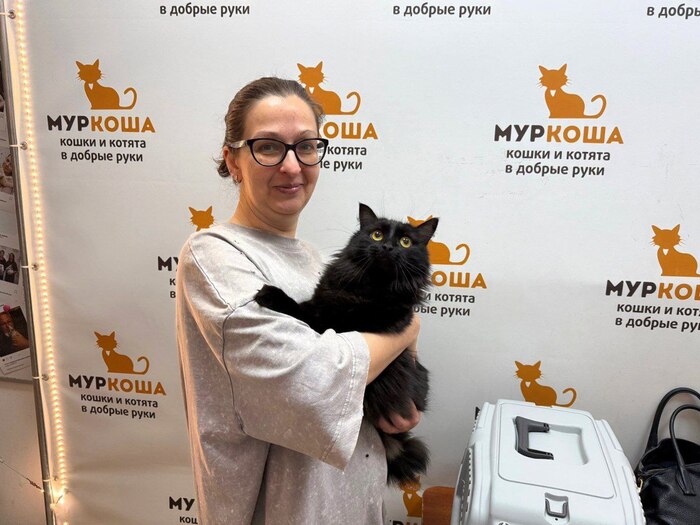 ����� ����� ������ �� ������ ����� 6 ������� 2025 ����.