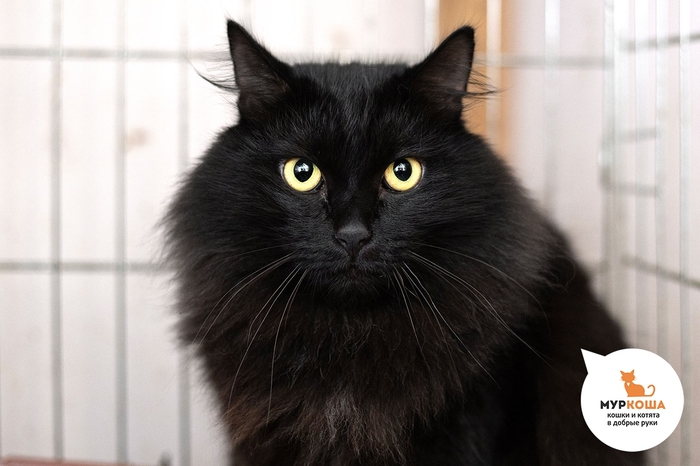 ��� ����, 3 ����, ������ �� �����.