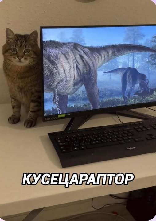 �������