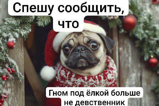 Срочные новости