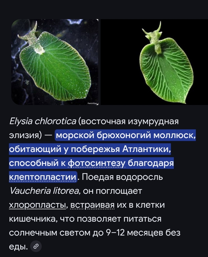 ������ �� ����� ������?