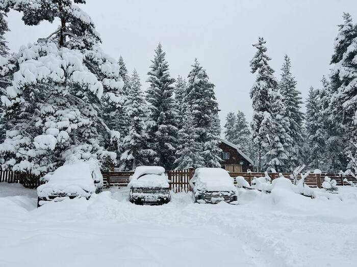 �����, ���������-���������� ����������