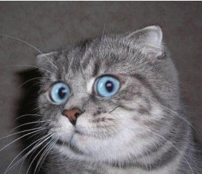 ������ ��� �� ������ �������� ������������� ������� �������...