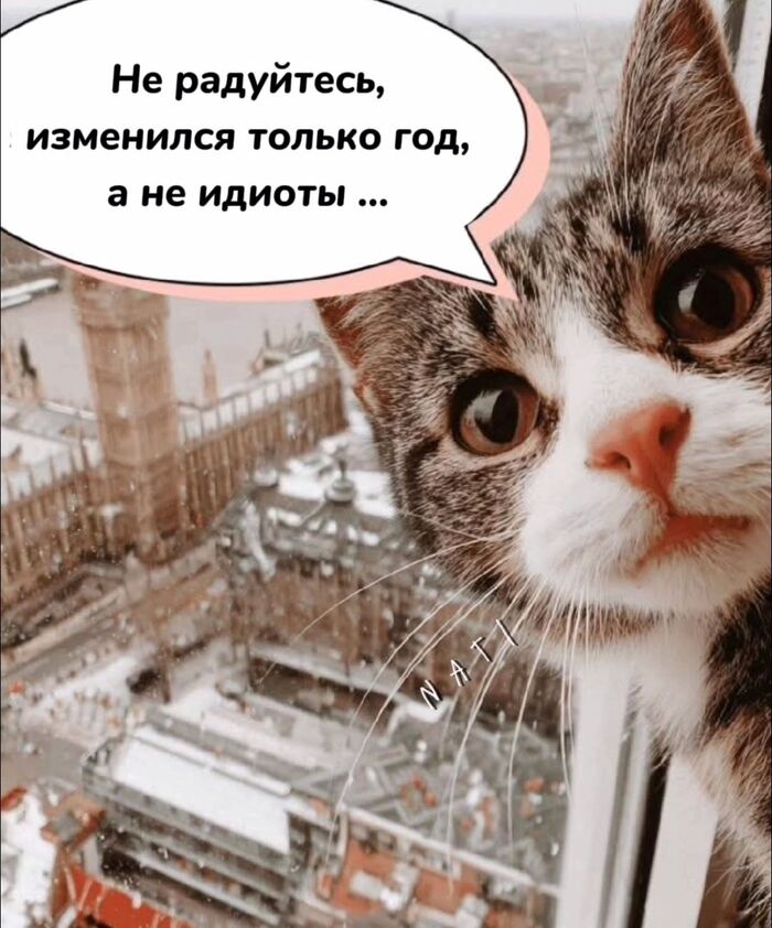 � ��������...