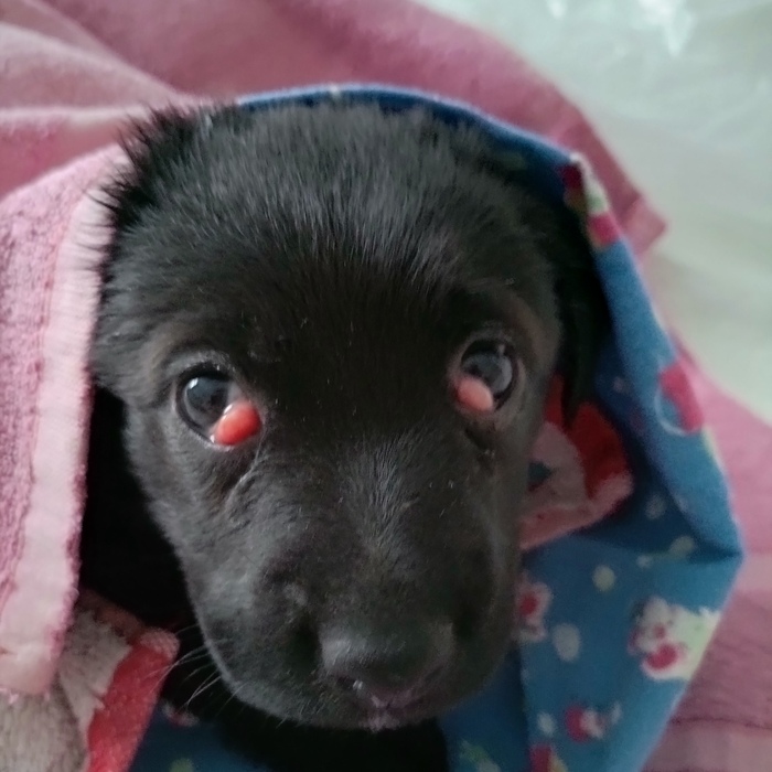 ���� � ���� ������