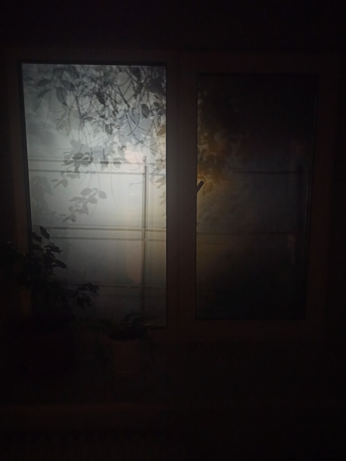 �� �� ������ ��, ��� ��� �� �������