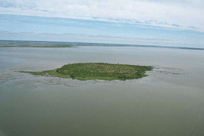 ������ ������