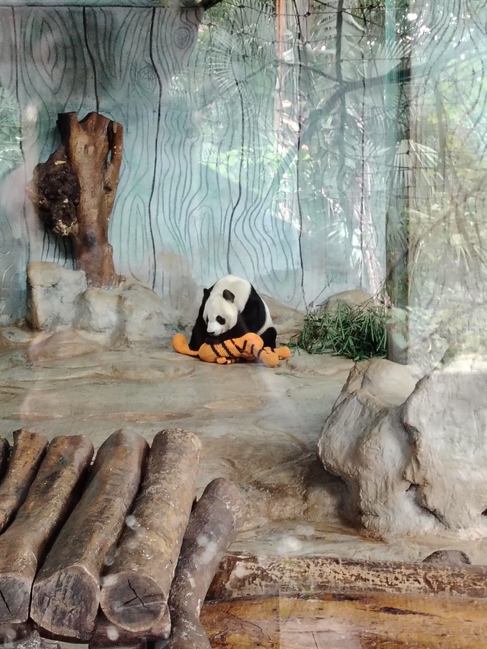 �� � ������� �����