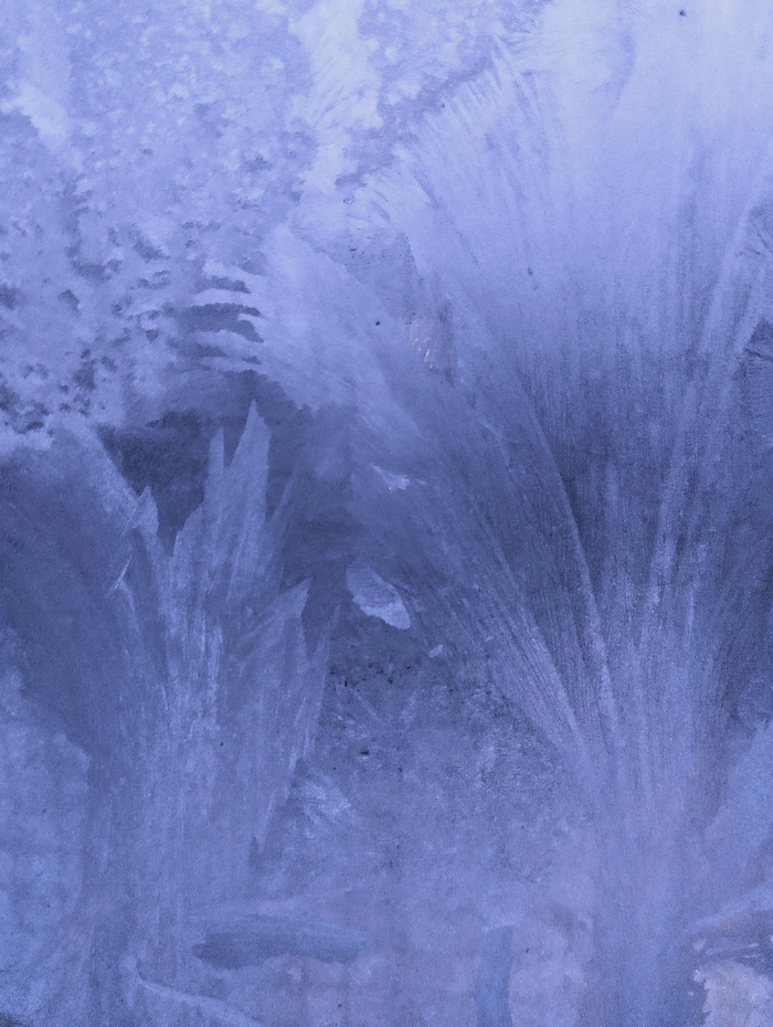 �� ������!