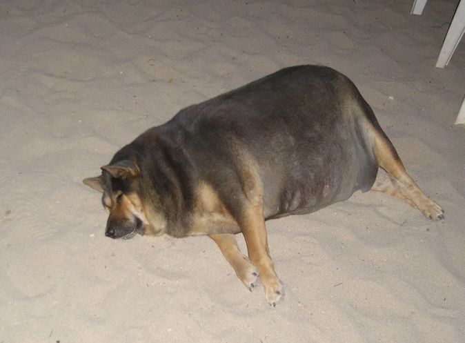 ������������� ����� �������