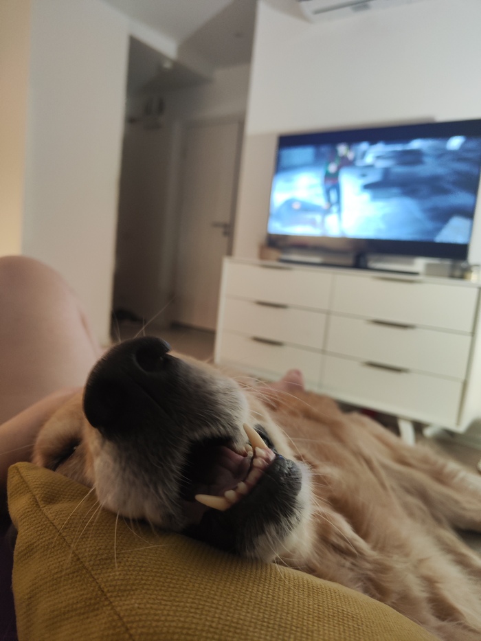 ����� �� ���� ���, ���������...�