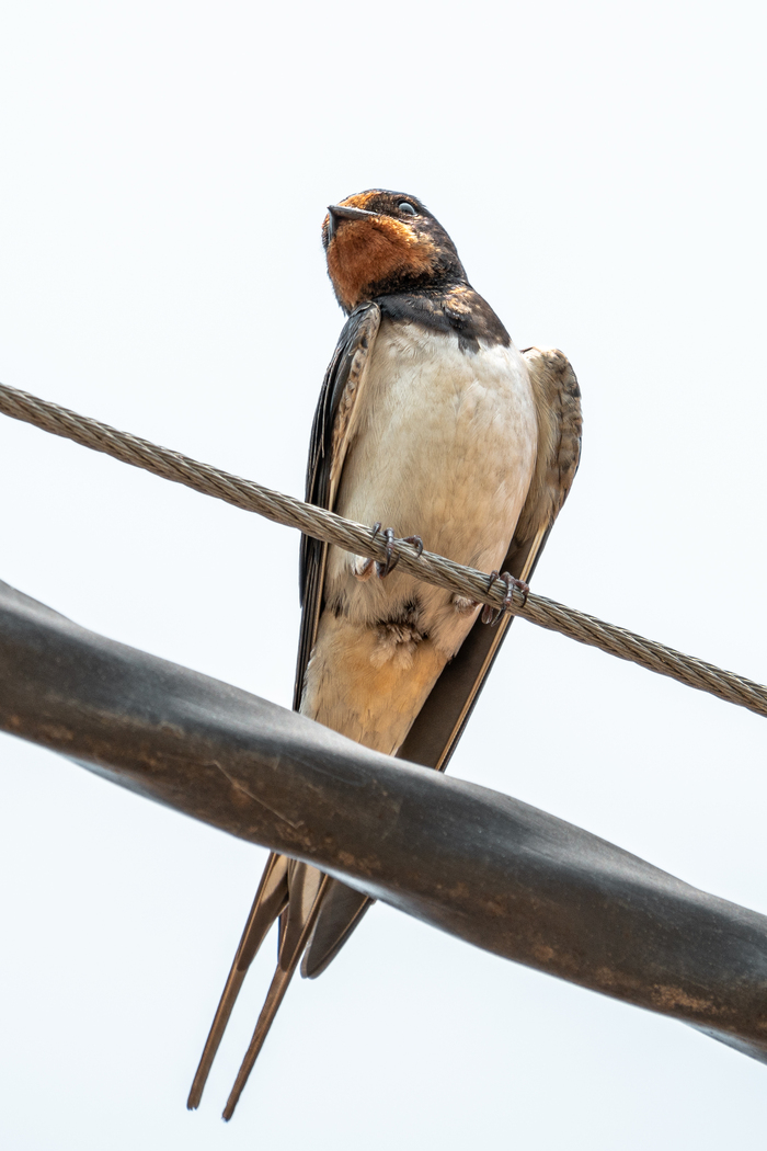 ����� �� ���� �������������� ��������