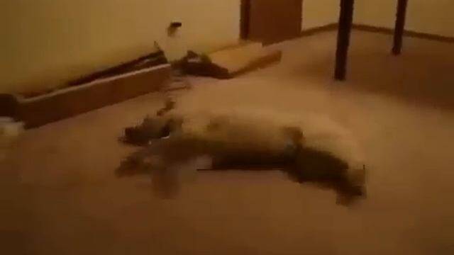 ������������