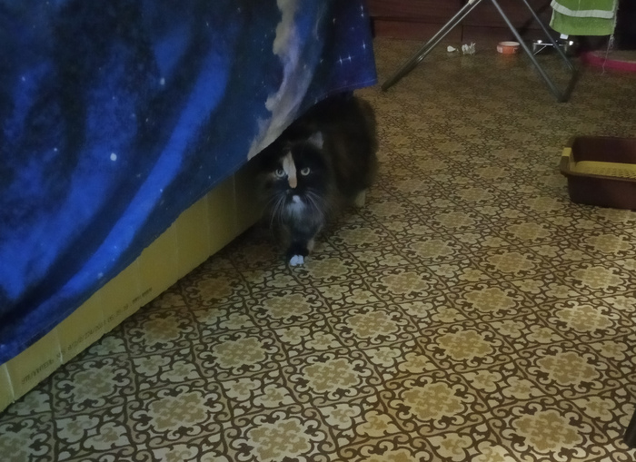 Посмотрите на этот взгляд...