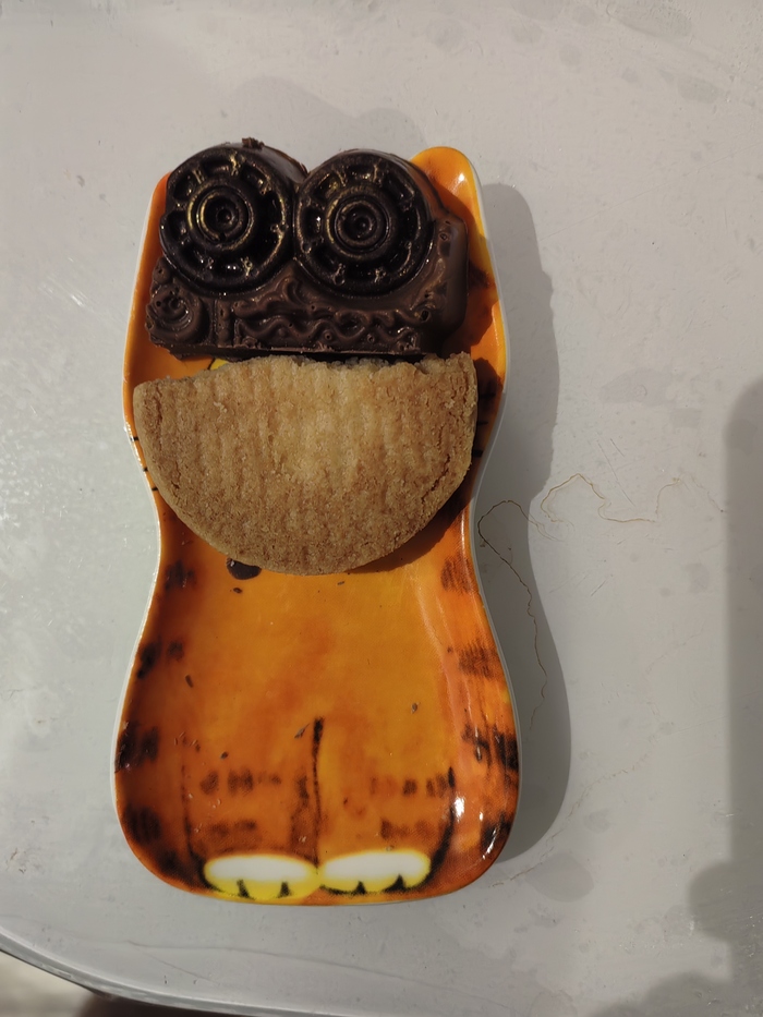 Порода: канадский кот