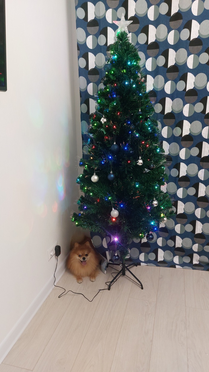 С новым годом друзья ! Я проспался