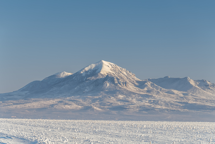 ���� ������