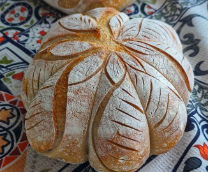 ������� ����� �� ��������