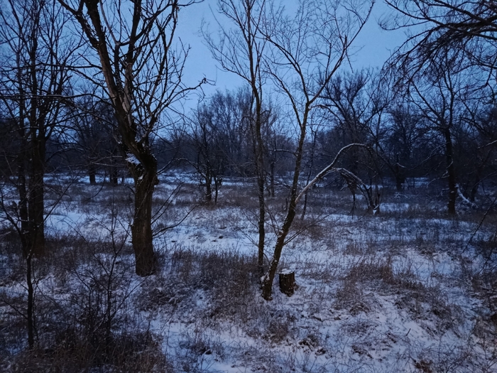 ������ �� �����