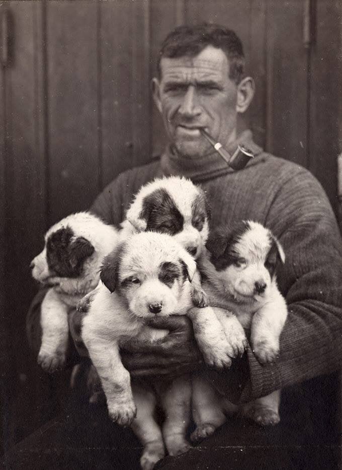 ��� ����