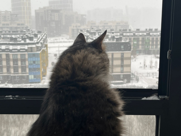 ����� ���� ��������� �� ����