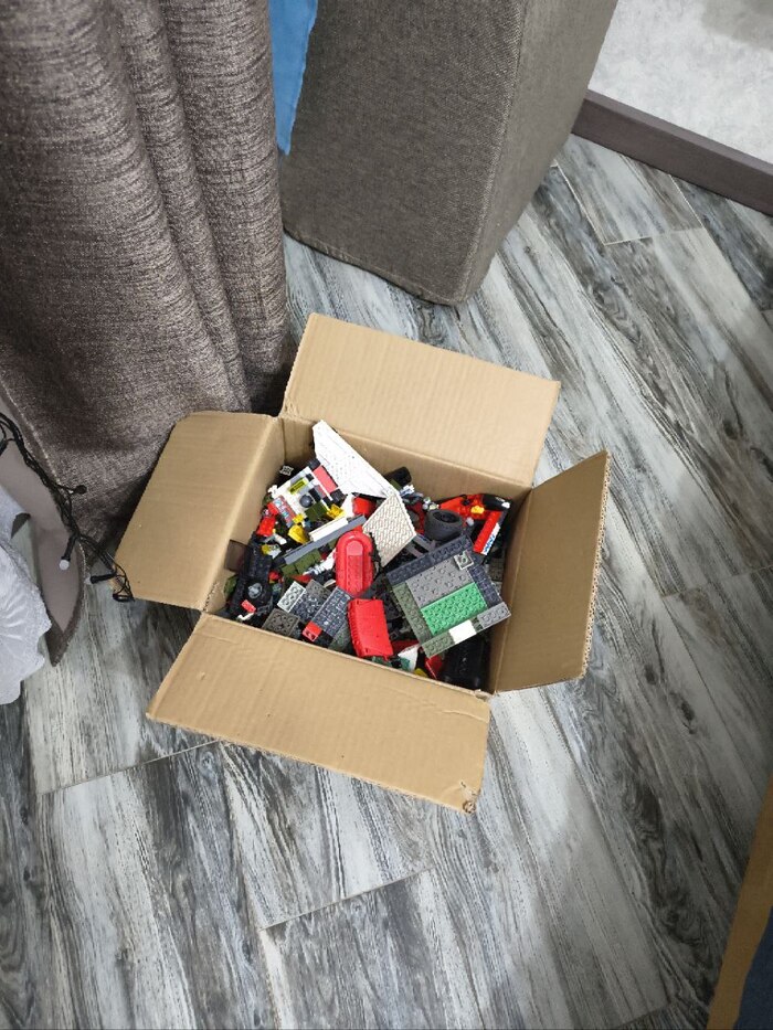 ���� ������� �������