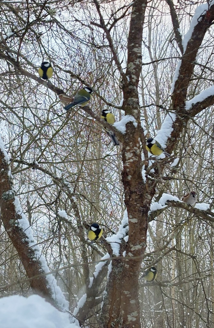 � ������� ���� ���������, ������� �� ��������. 