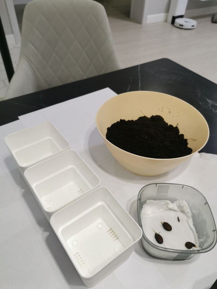 �� ������ � ������ - �����, ���� � ������.