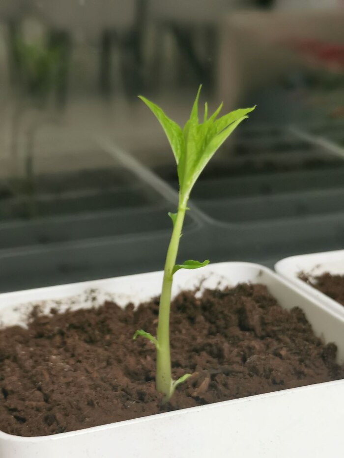 24 ������. (��� �� ������ �������� ��������! � �� ��� �������� ������������? � ������ ���������� ������� �� 180 �������� � ����)