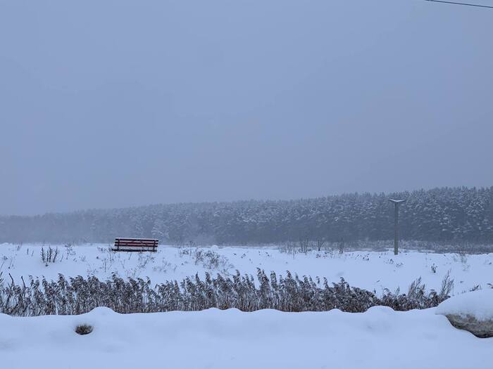 166 дней Есенина #106