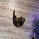 ������ ������������ user11371319