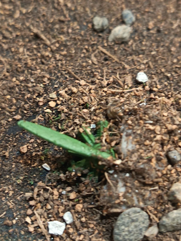 �� ��������� �� ������ ������� �������� ��� ������� ���������� ������� � �����.