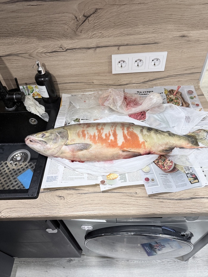 ��� �� ����?