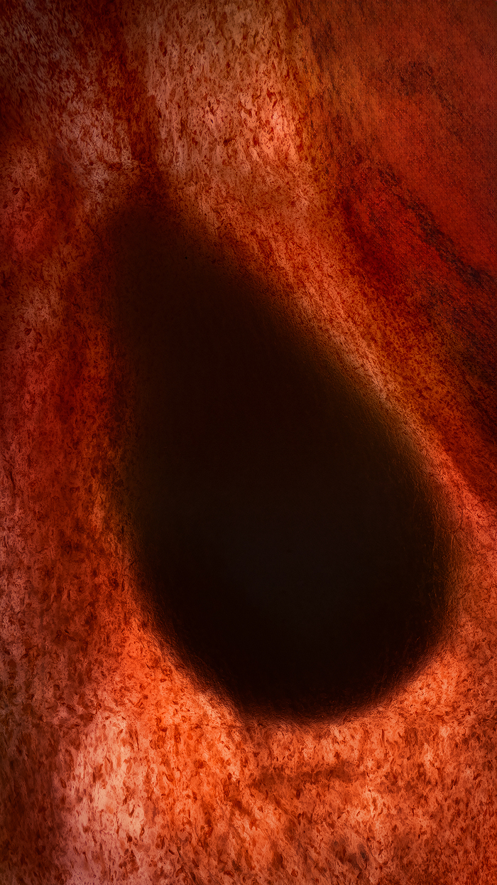 ���� ������ �����