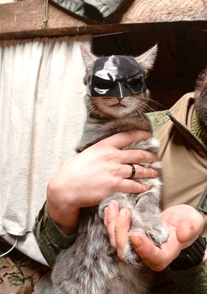 � - �����!