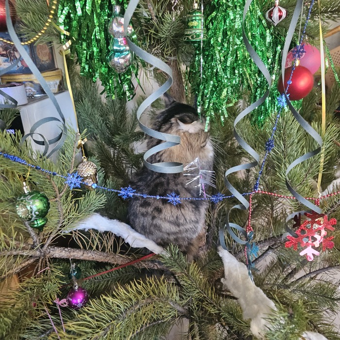 ����� ���� �������� �������������...