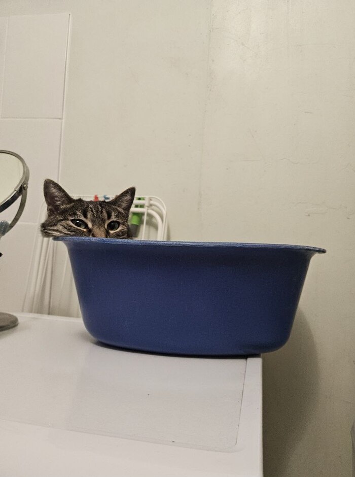 � ������ (^_-)