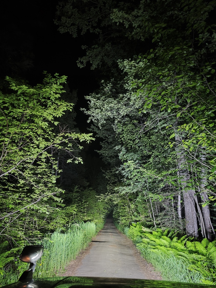 ����� �� ����� �������, ������� 