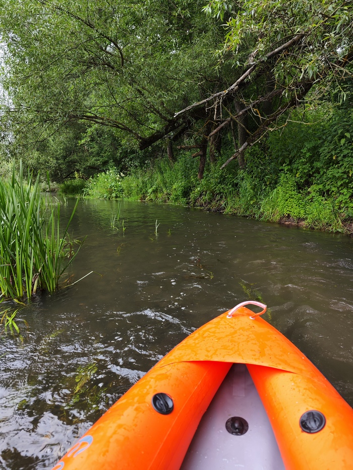 �����������, ���� ��� ����������� ������� ��������, ������ ������ ���� ������;)