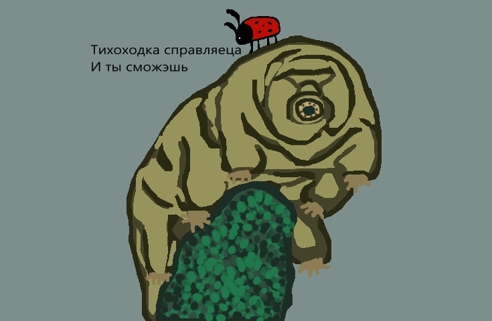 ��� ����, ����������