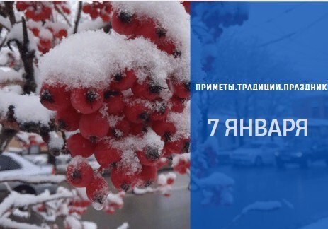 ���� "�����������"