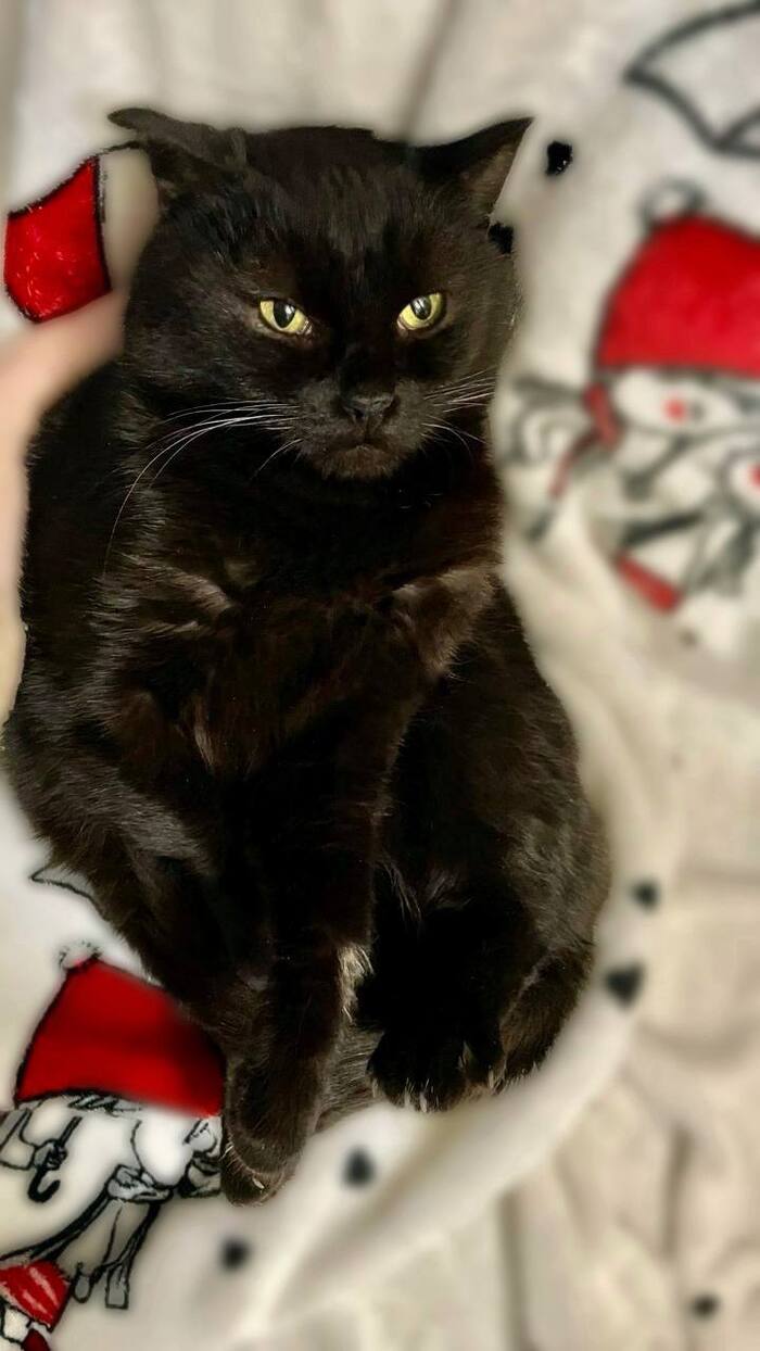 ������� ���� ������� � ����!