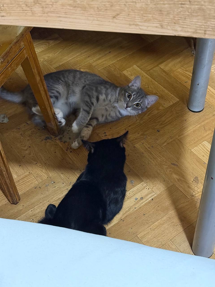 �������� ������ ������ ������ - ���� ������ - ��� ����� ���� � �� ���