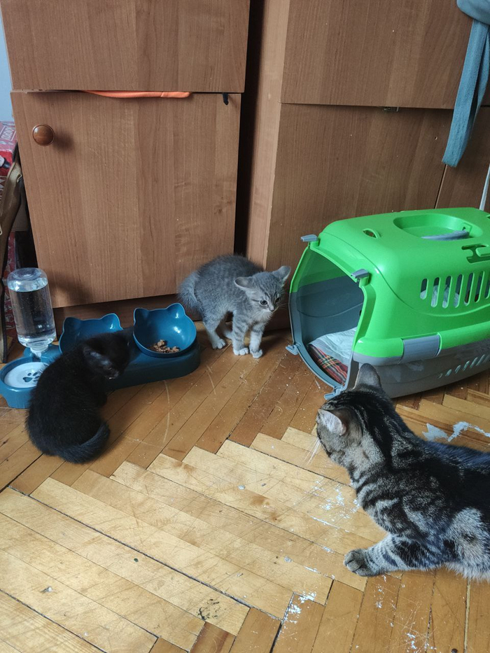 ����, ����� �� �������� �����. ����(������� ���) �������� �� ���������,�� ��� ��������) ����� ������� ����� ���������� � ��������� ����������� ����