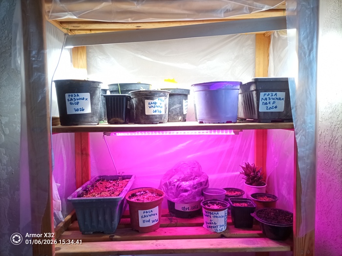 ��� �������� ������