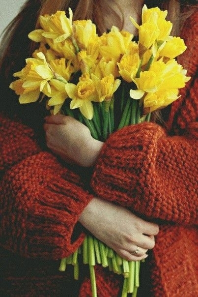 ������� �� ����������