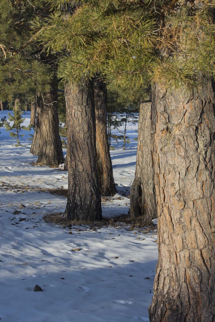 � ������ ����� ����� � ��������� ������ ��������.